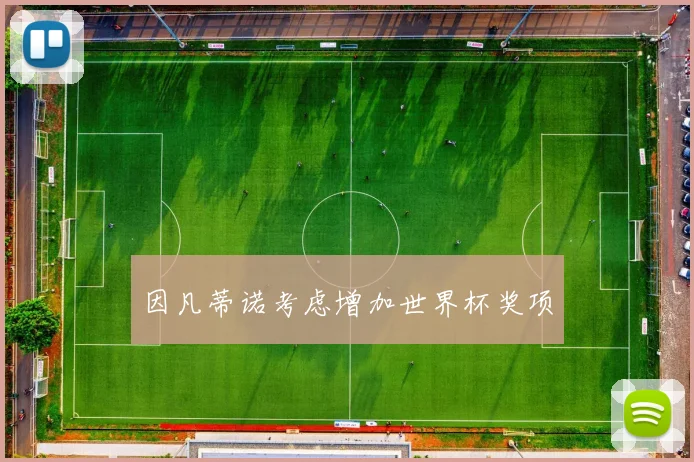 因凡蒂诺考虑增加世界杯奖项